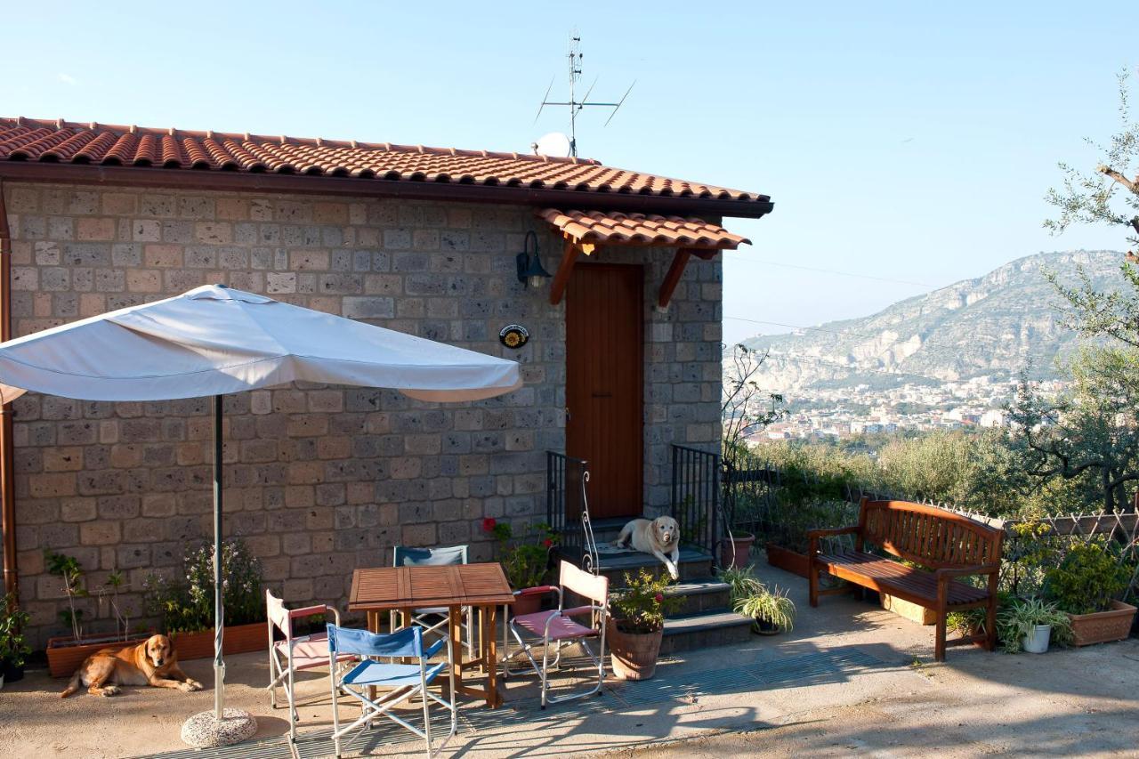 Agriturismo L'Olivara Piano di Sorrento Exterior photo