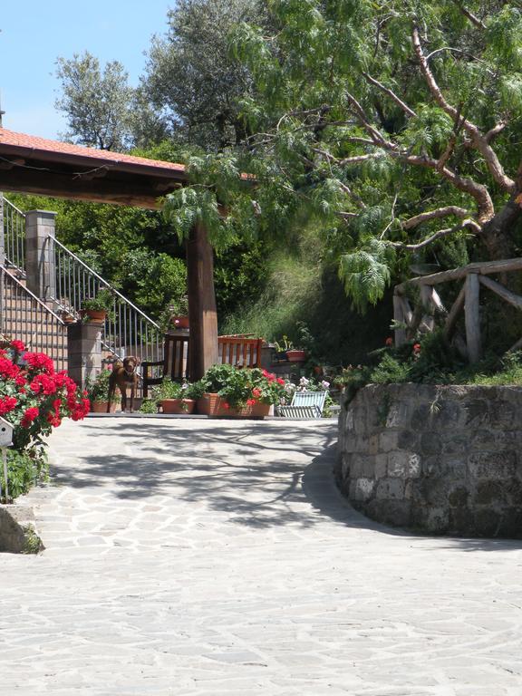 Agriturismo L'Olivara Piano di Sorrento Exterior photo