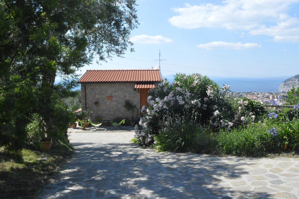 Agriturismo L'Olivara Piano di Sorrento Exterior photo