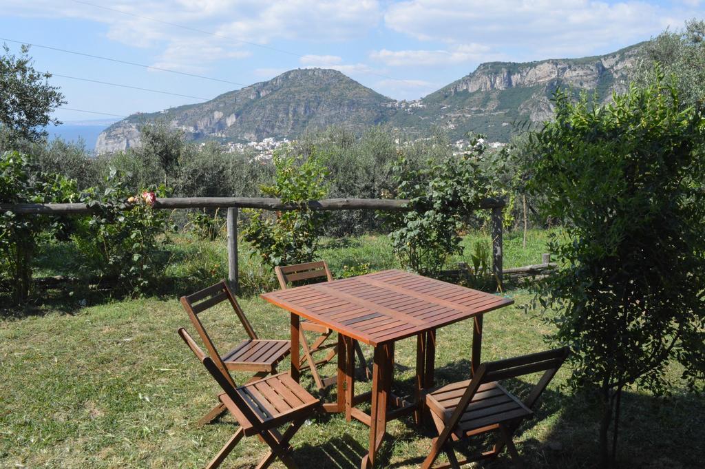 Agriturismo L'Olivara Piano di Sorrento Exterior photo