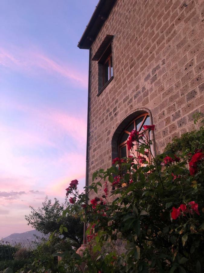 Agriturismo L'Olivara Piano di Sorrento Exterior photo